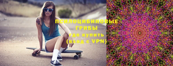 дживик Михайловск