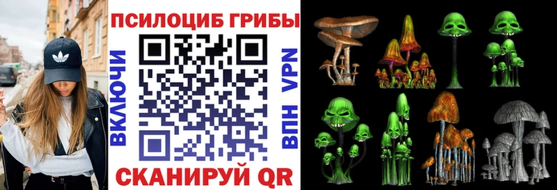 цена   Моршанск  Галлюциногенные грибы мицелий 